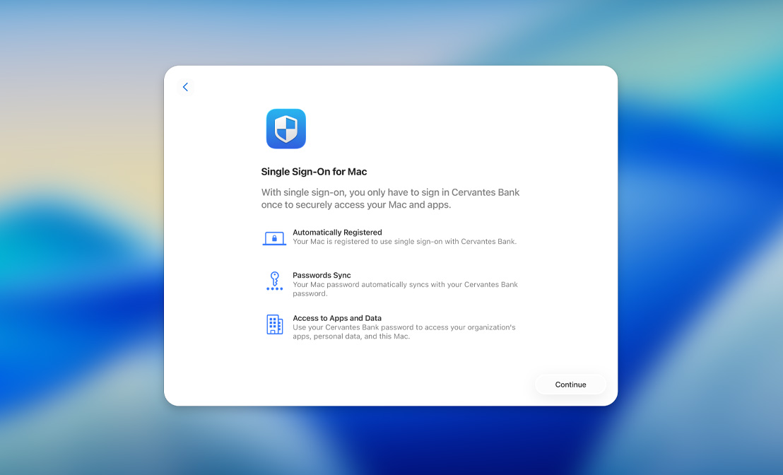 單一登入設定對話框，其中包含自動註冊、密碼同步，以及取用 App 和資料等選項